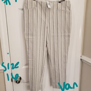 NWT Van Heusen pull on dress panta in cream with very thin blue stripes.